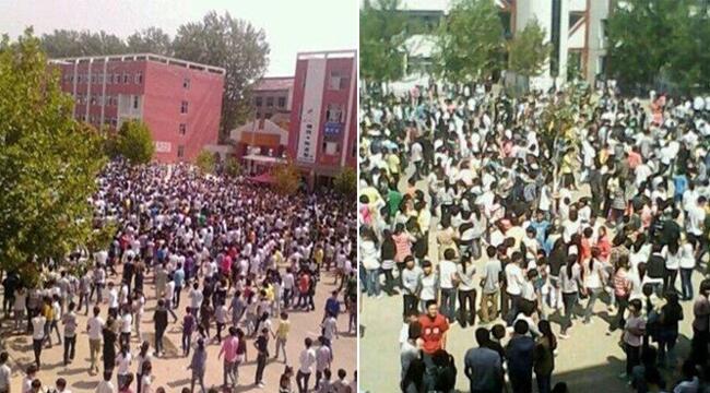 河南商丘學(xué)生砸食堂事件 校長被免記 教育部責令整改